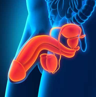 penis enlargement treatment